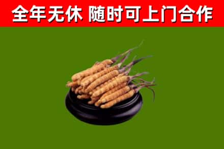 四平市烟酒回收冬虫夏草.jpg